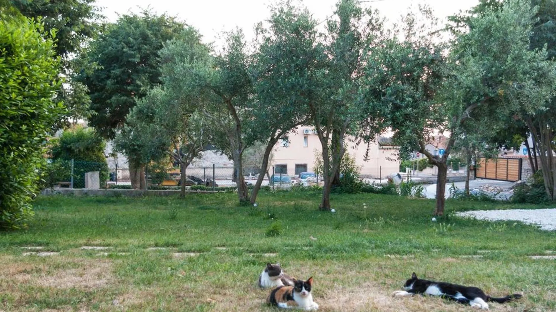 Villa Mediterranea - Apartments Medulin